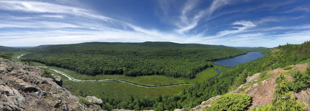 campo di erba verde sotto il cielo blu durante il giorno