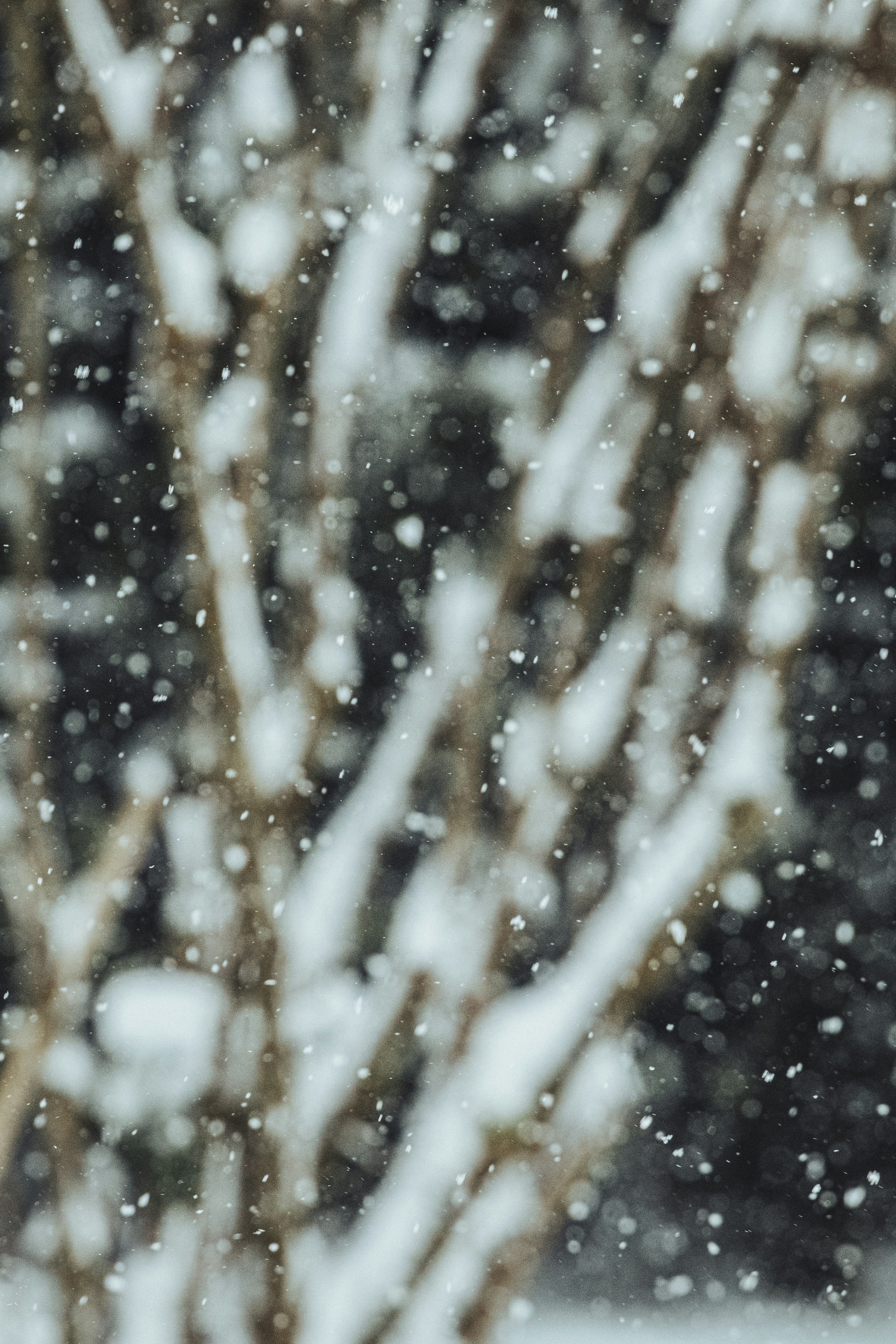 Photo by hiccupfromberk