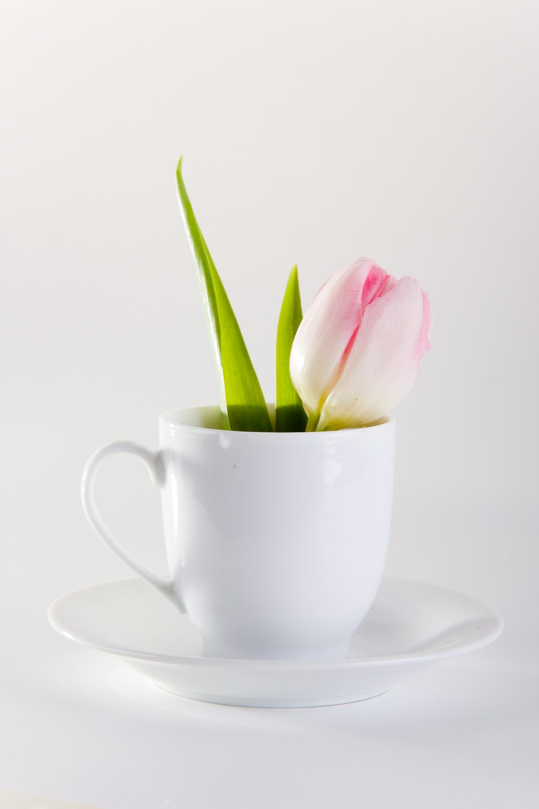 white ceramic teacup with saucer