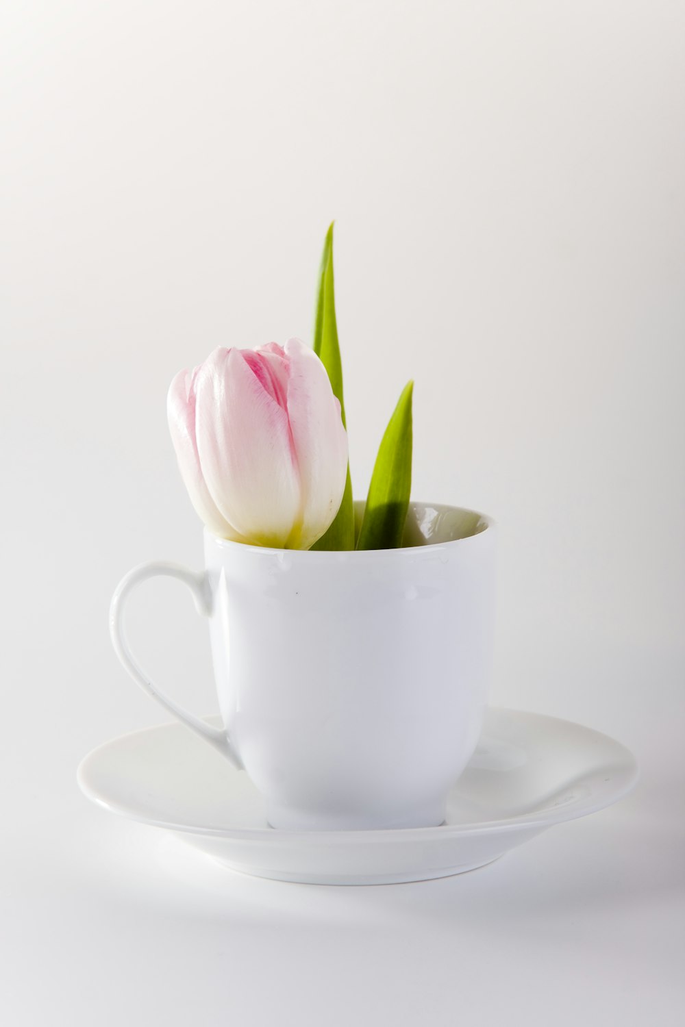 Tasse à thé en céramique blanche avec soucoupe