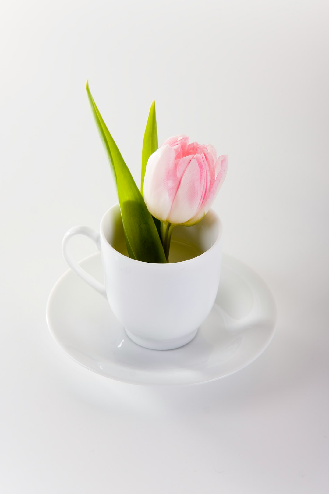 pink rose on white ceramic teacup