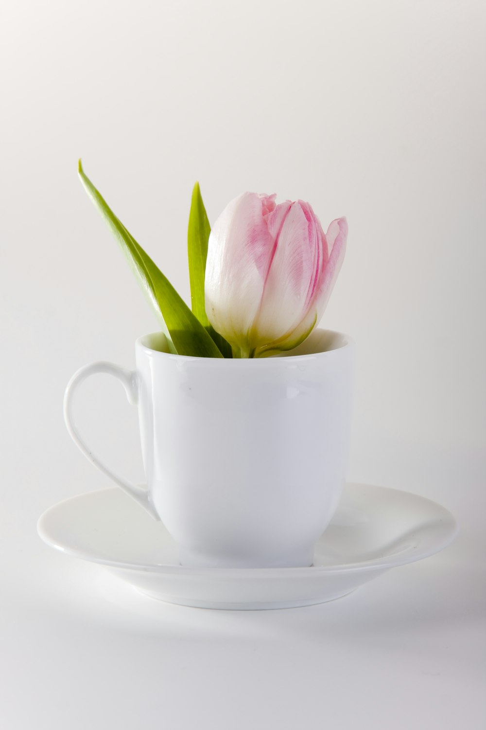 white ceramic teacup with saucer