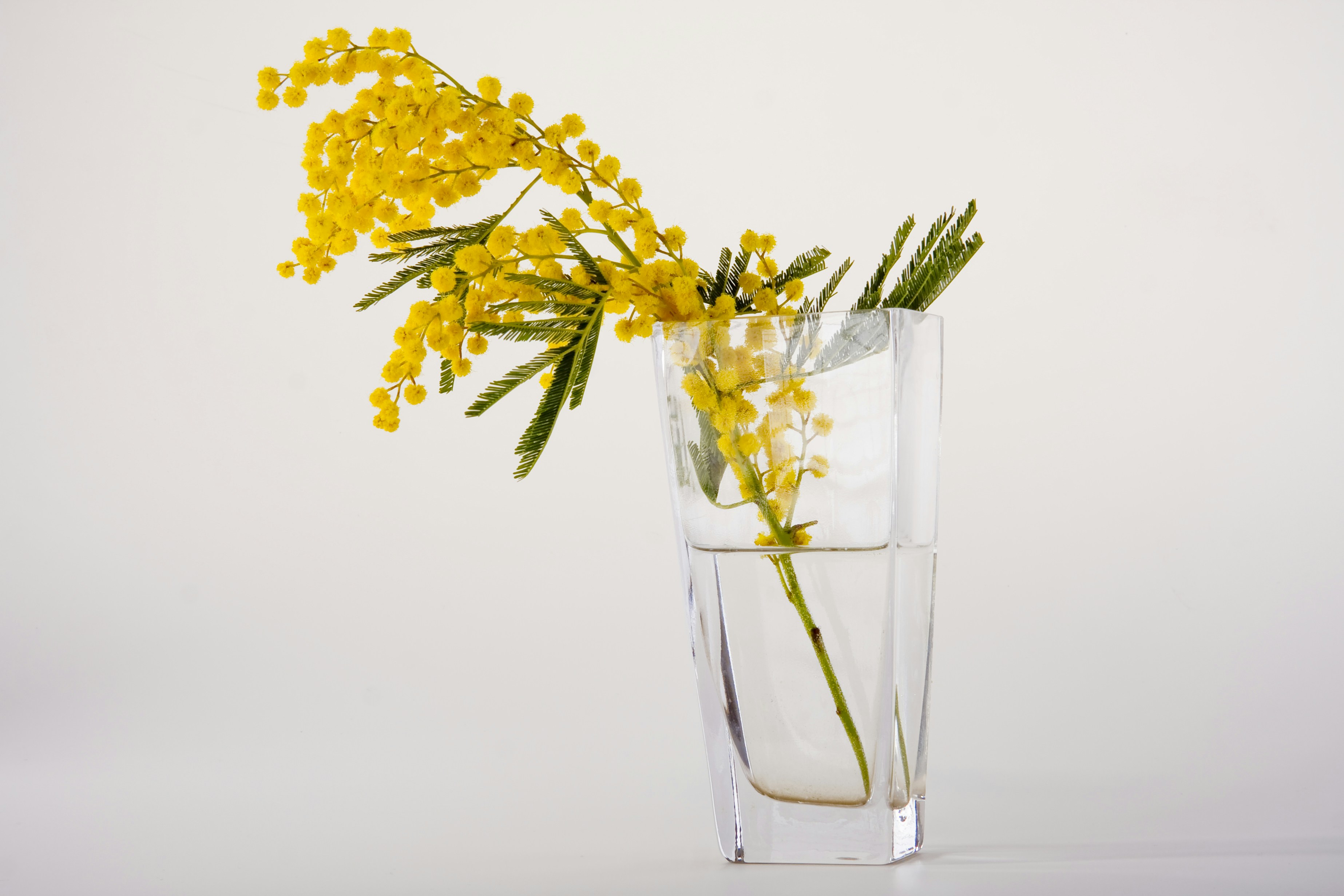 Photo by raimondklavins