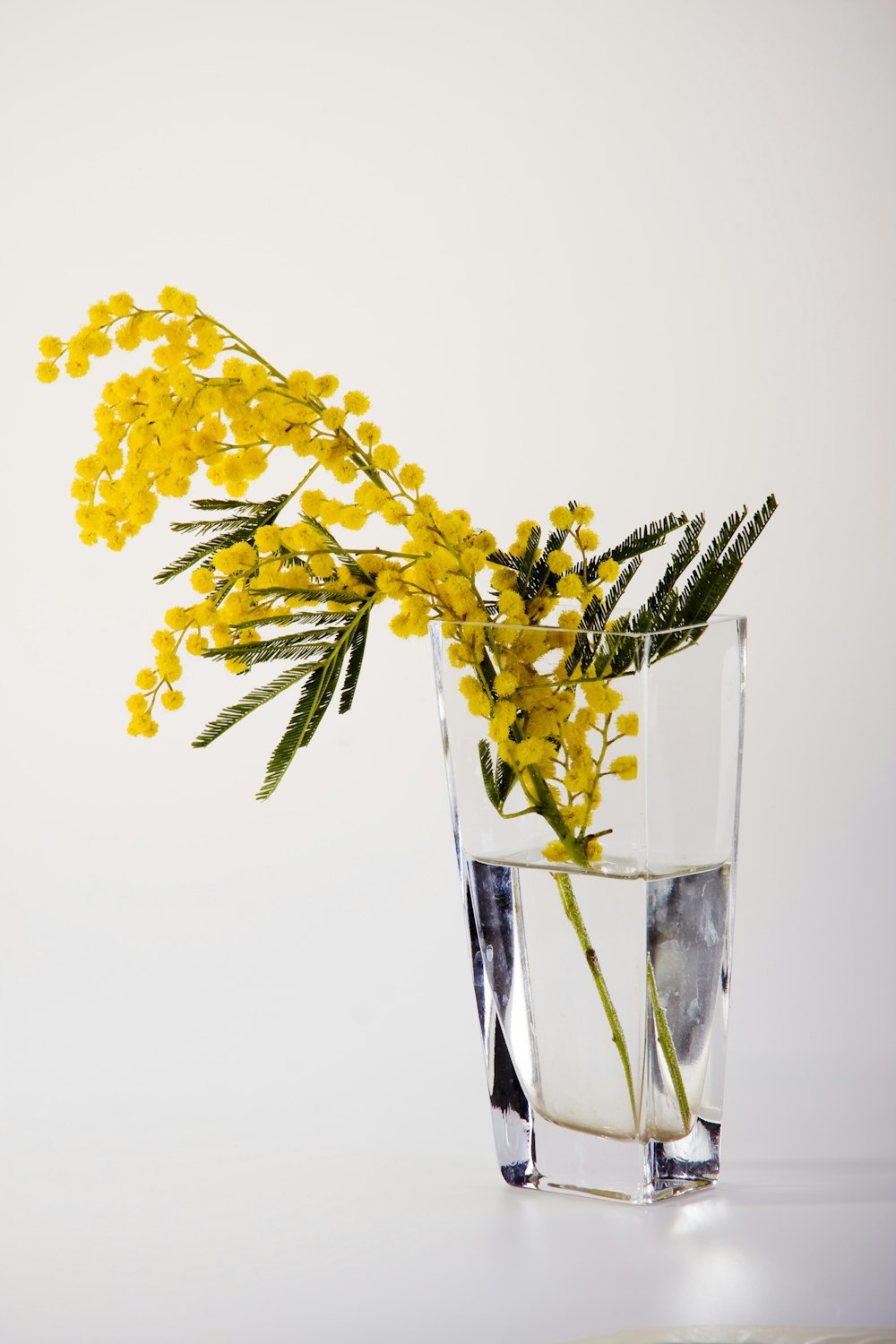 yellow flowers in clear glass vase