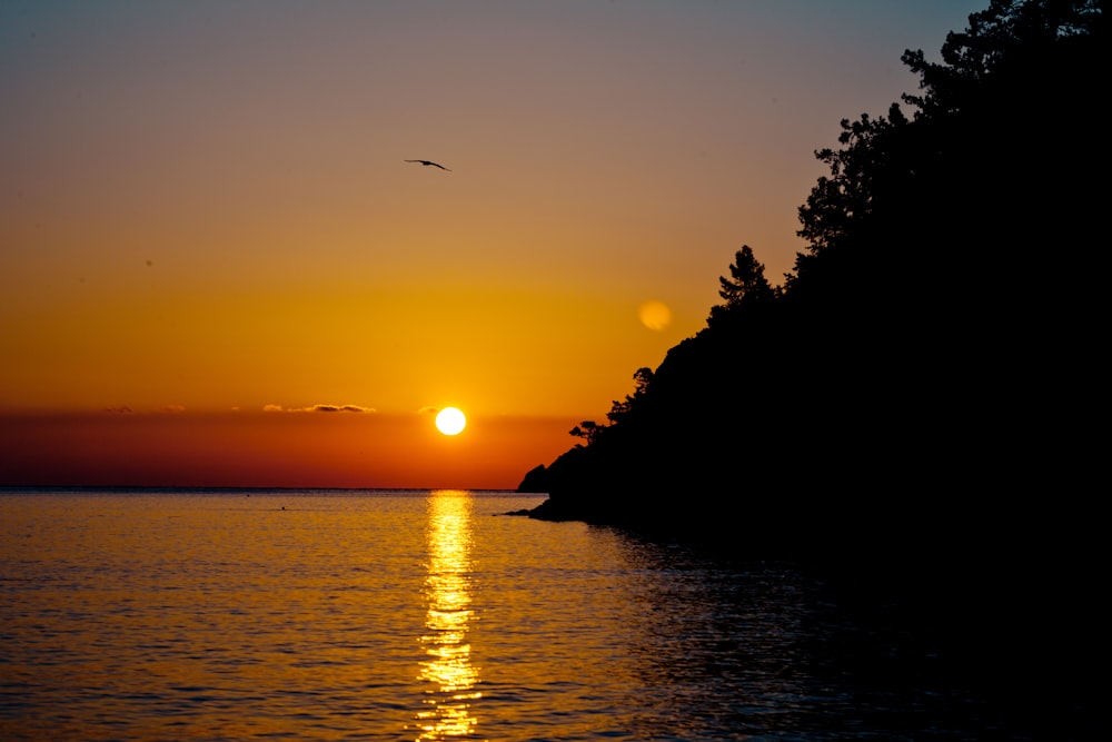 Silhouette eines Vogels, der während des Sonnenuntergangs über das Meer fliegt