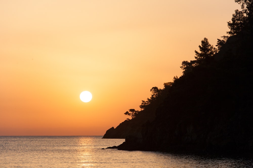 silhouette of trees near body of water during sunset