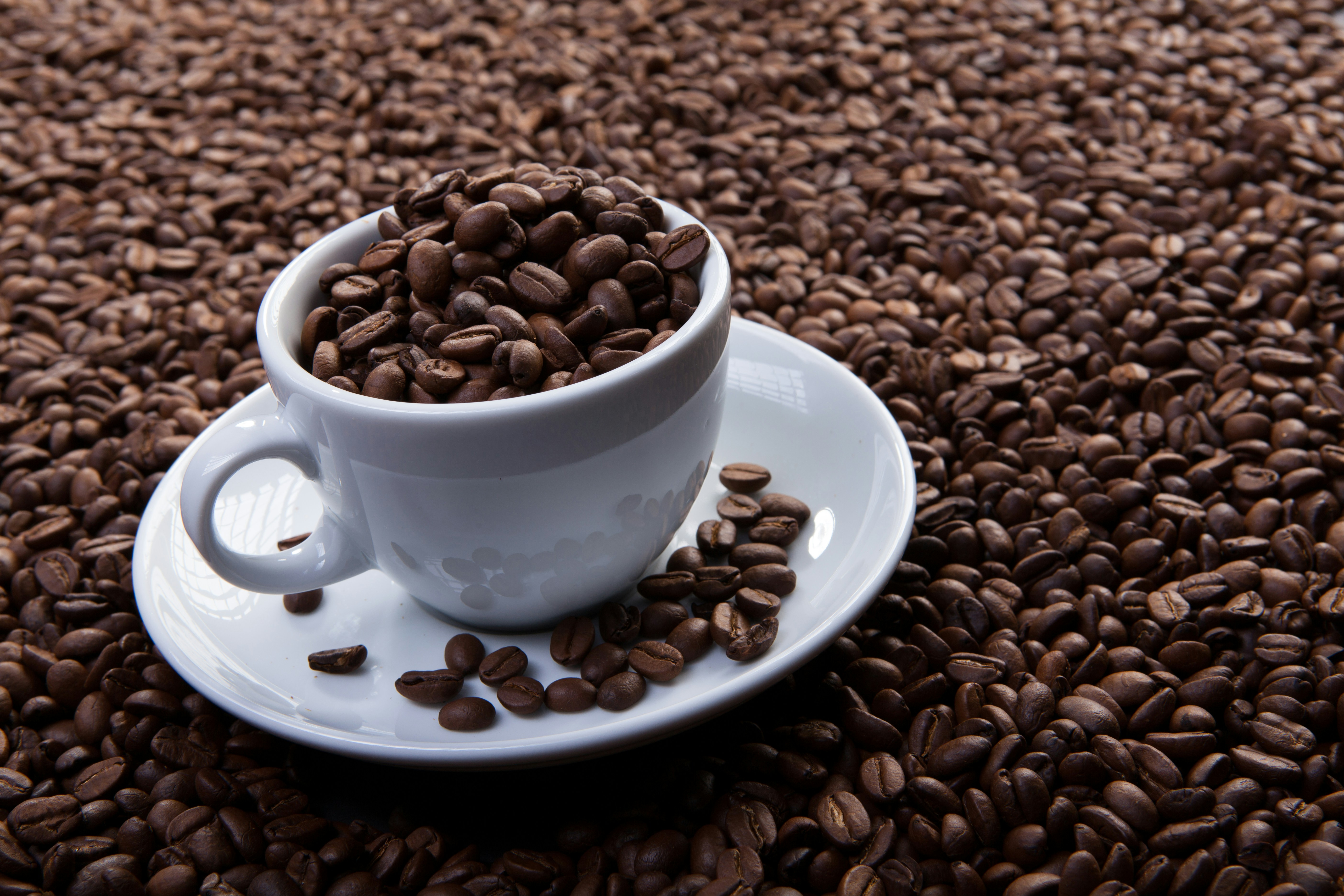 Photo by raimondklavins