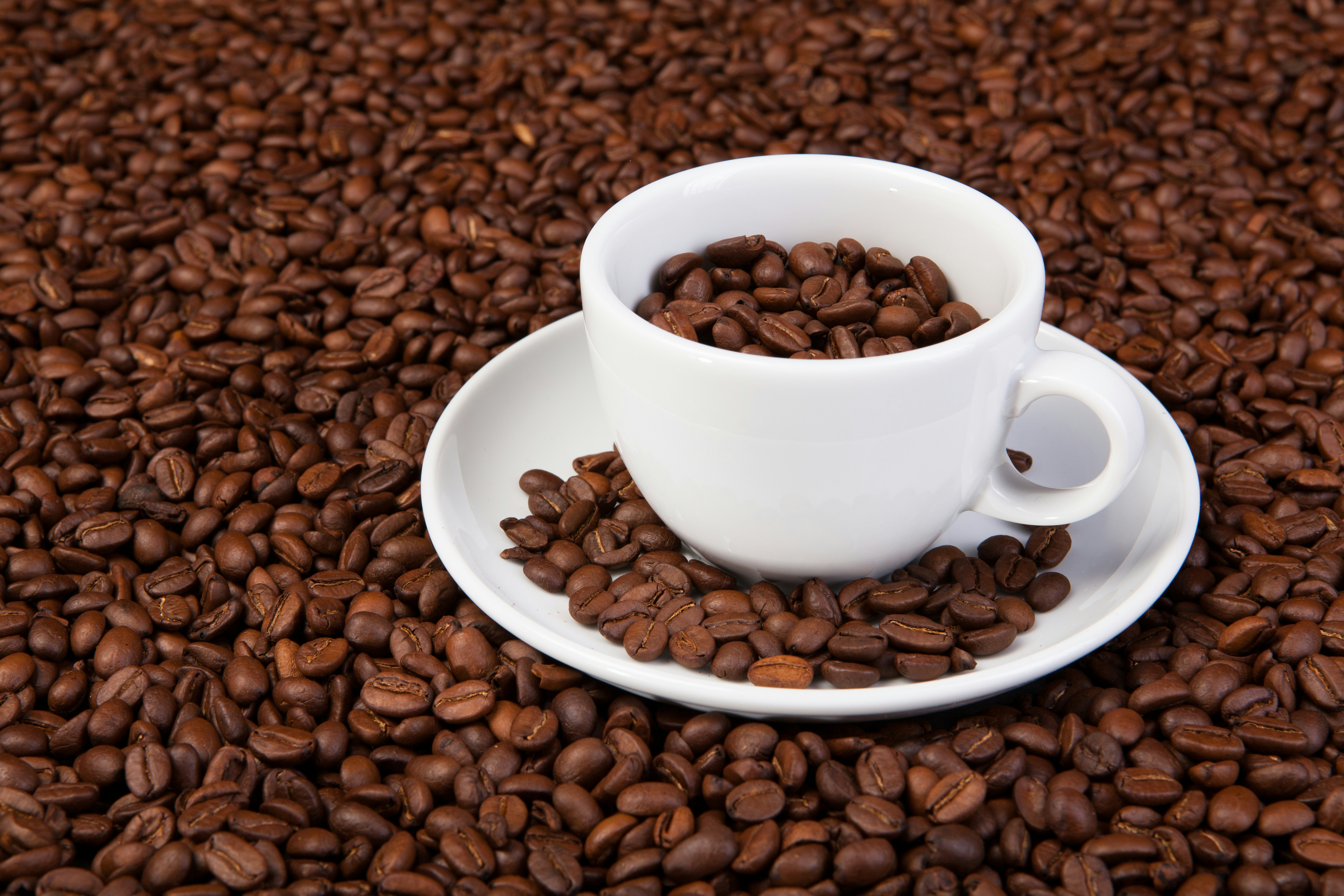 Photo by raimondklavins