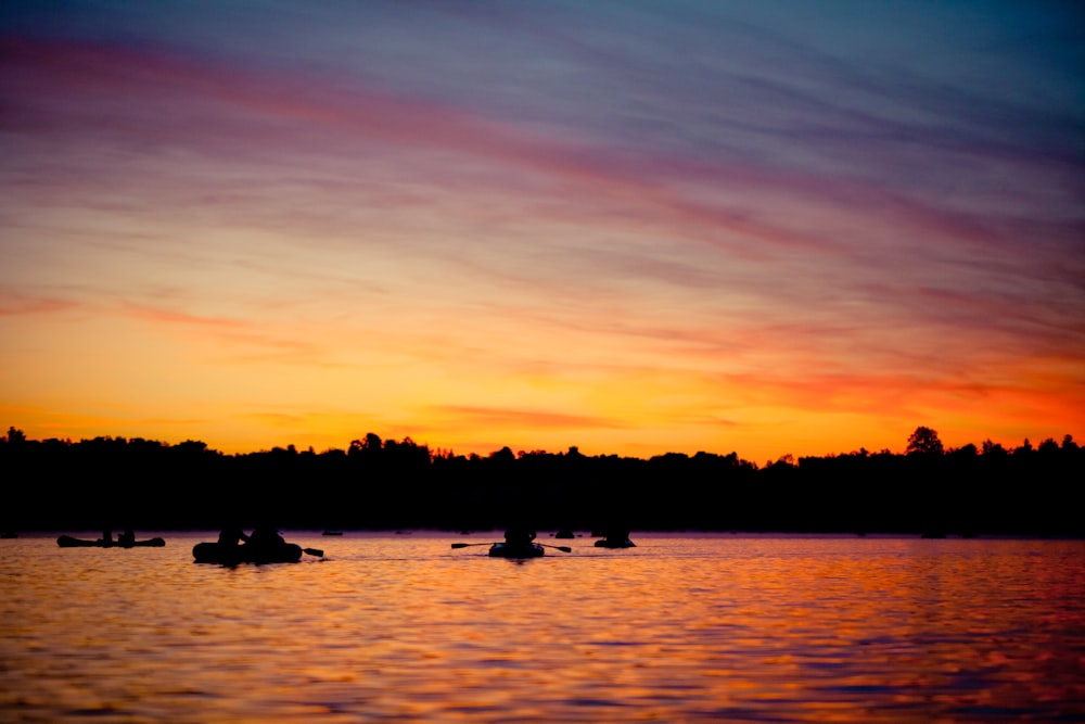 silhouette of trees near body of water during sunset