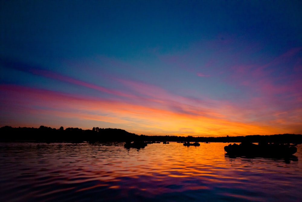 silhouette of trees near body of water during sunset