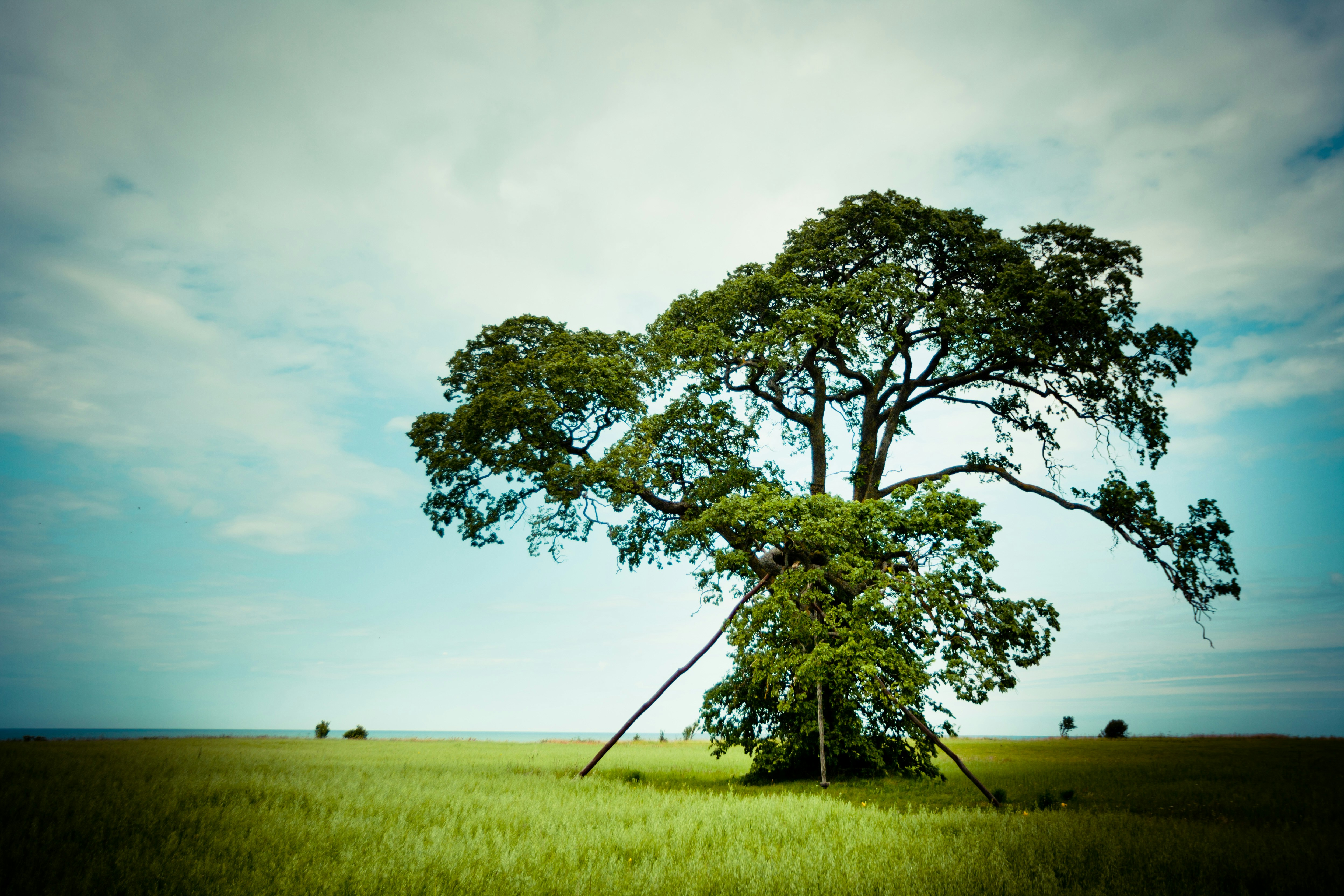 Photo by raimondklavins