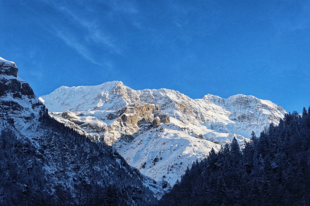 snow covered mountain under blue sky during daytime