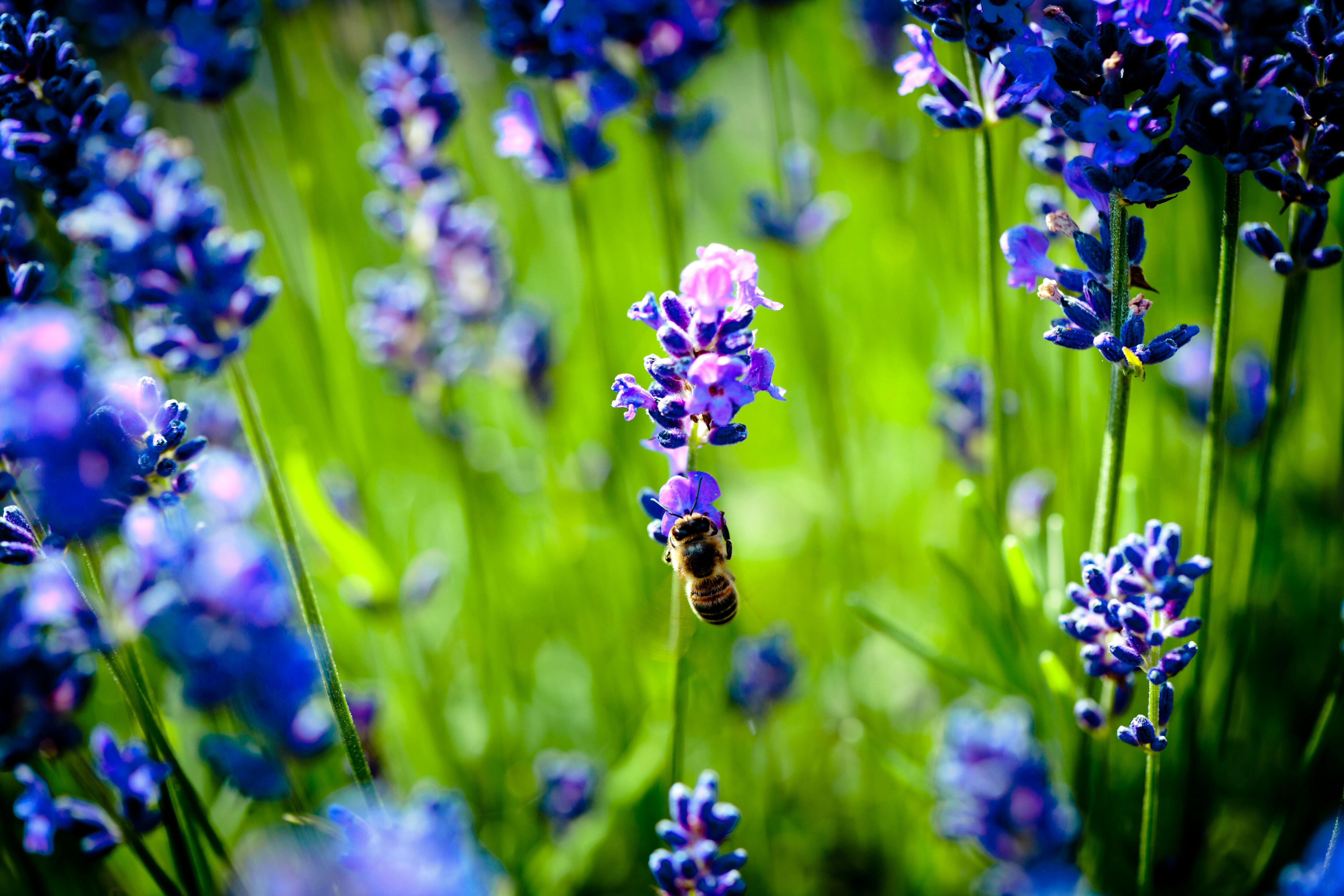 Photo by raimondklavins