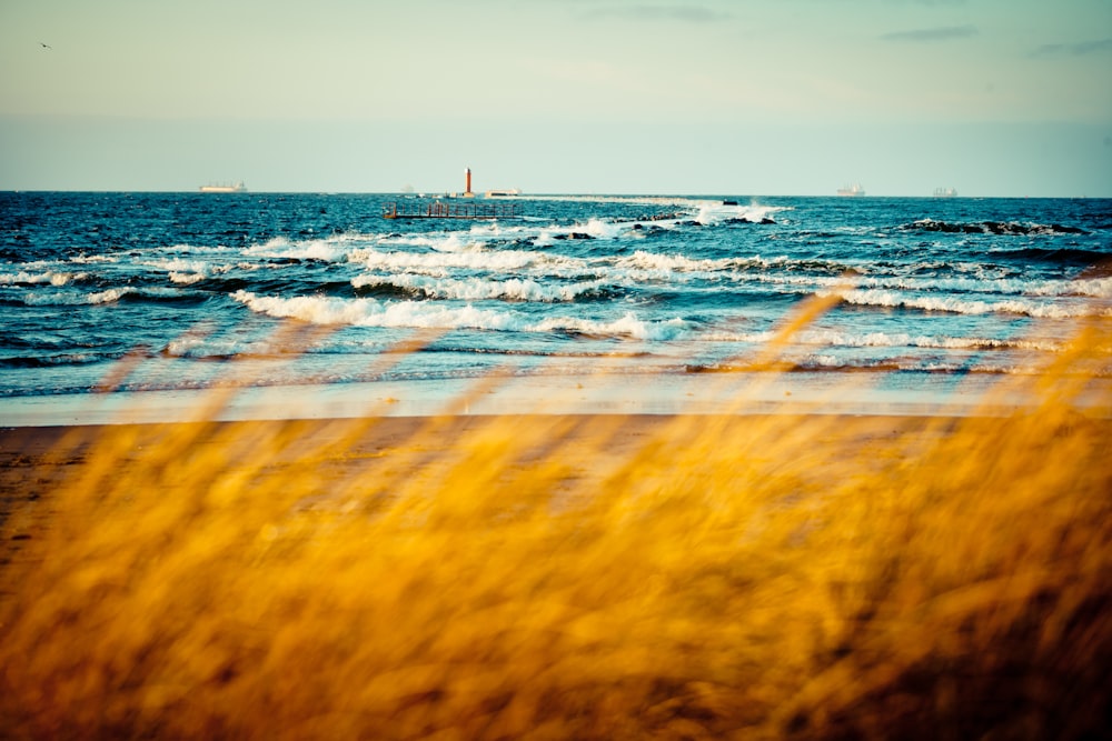 people surfing on sea during sunset