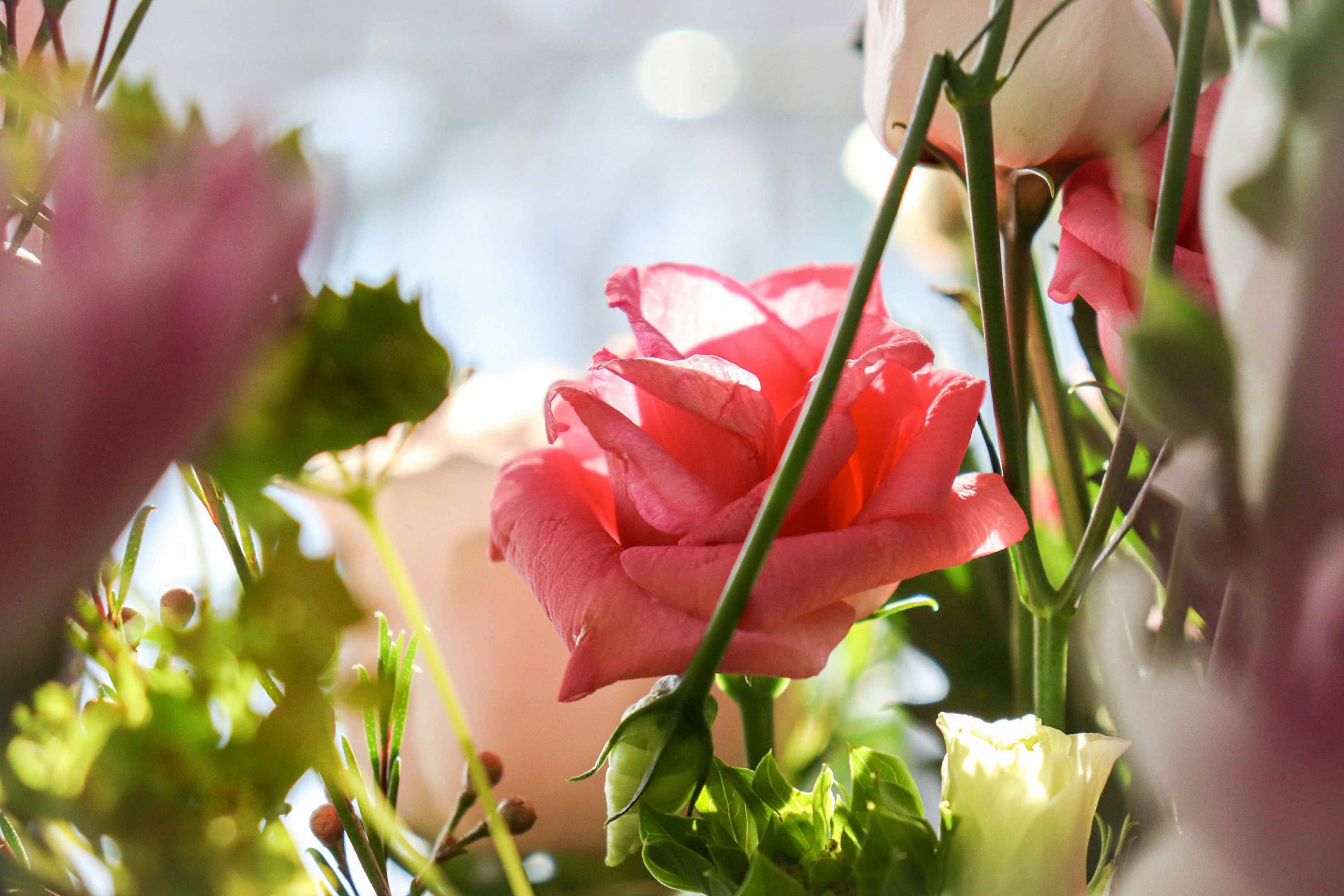 Photo by hlaurphotography