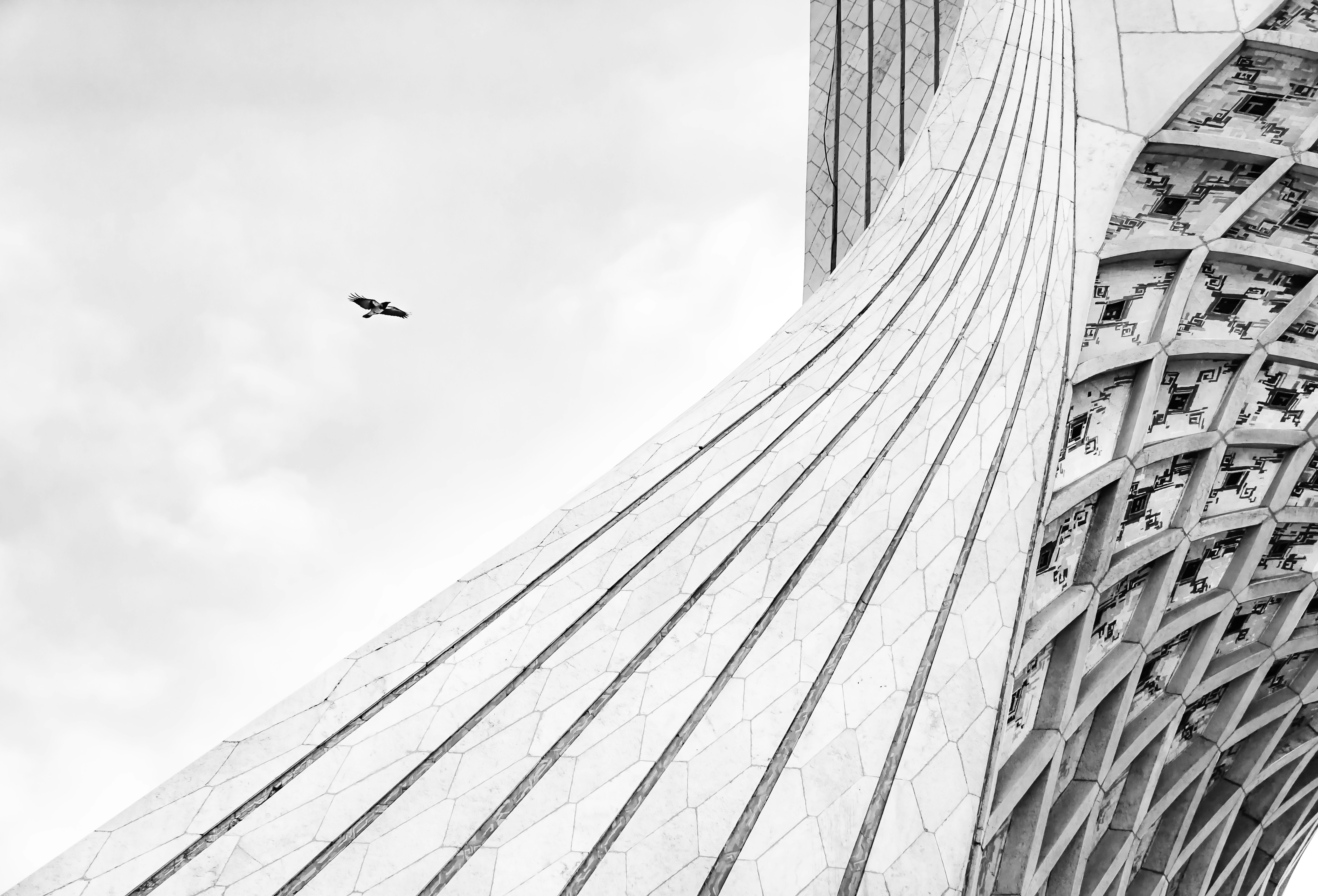 Photo by hamidhh5555