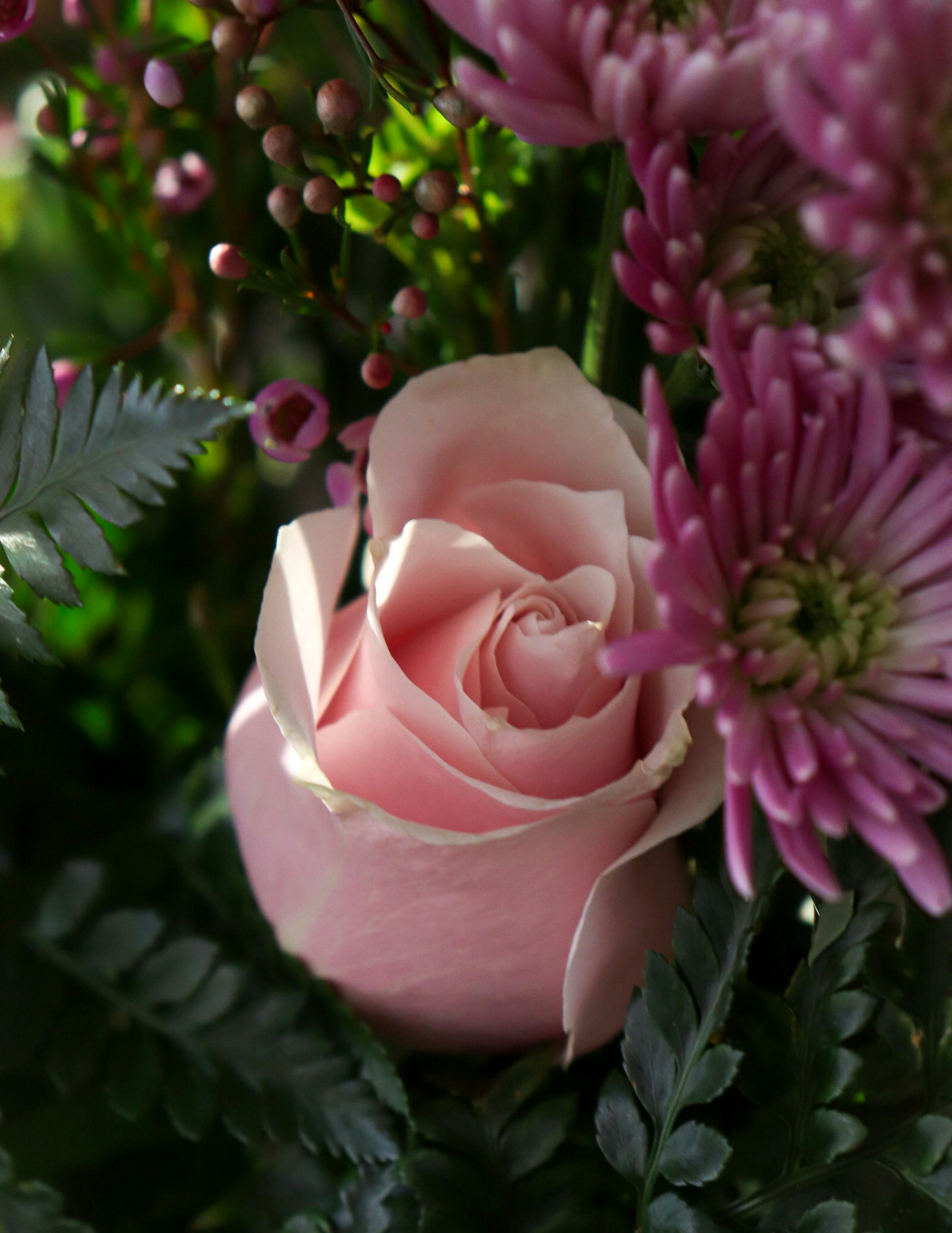 Photo by hlaurphotography