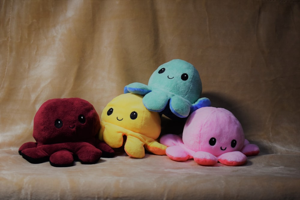 1000+ Plush Pictures | Download Free Images on Unsplash