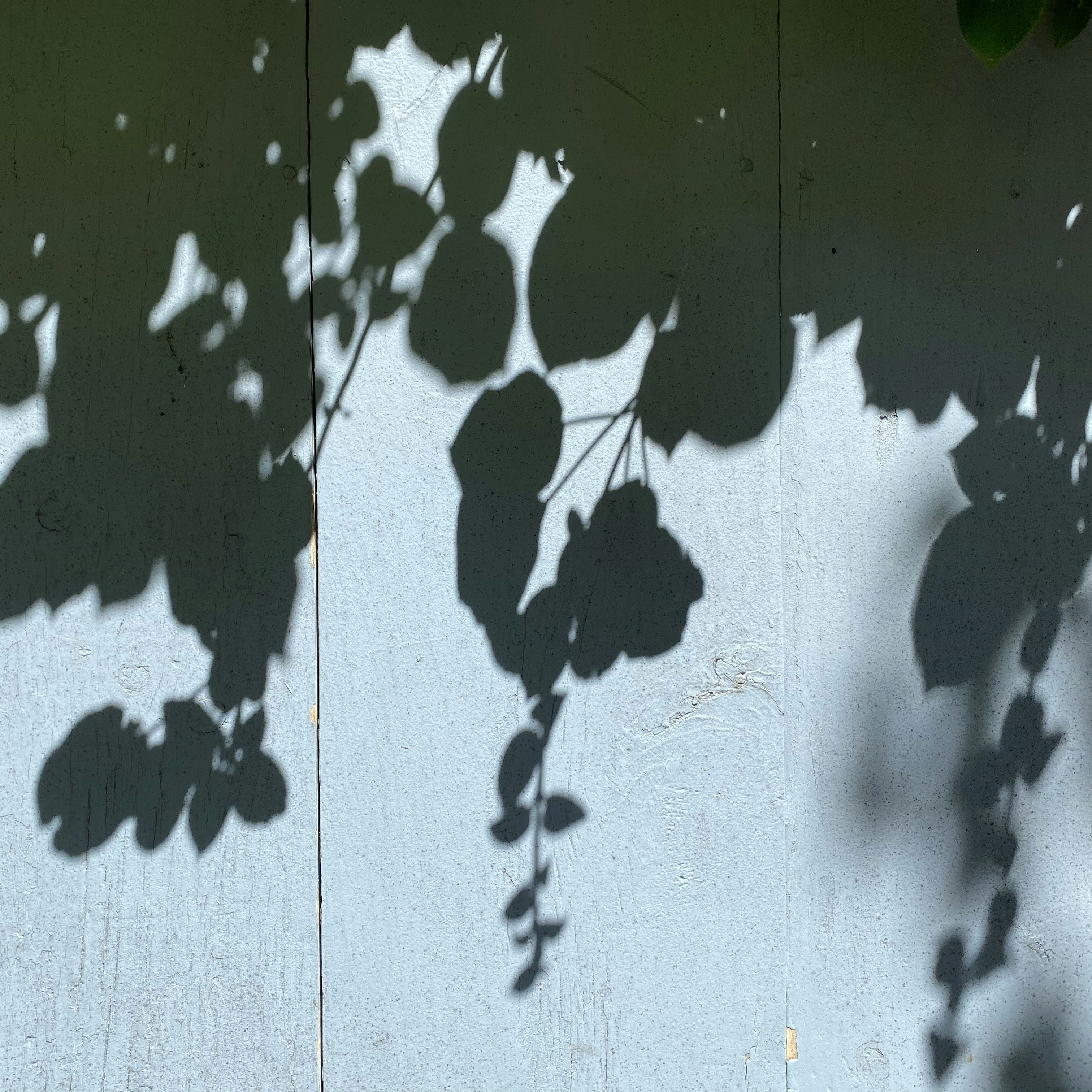 Photo by thelucidlens