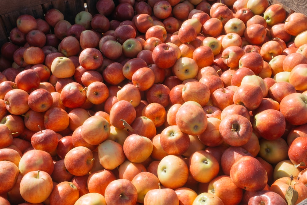 orange round fruits on display