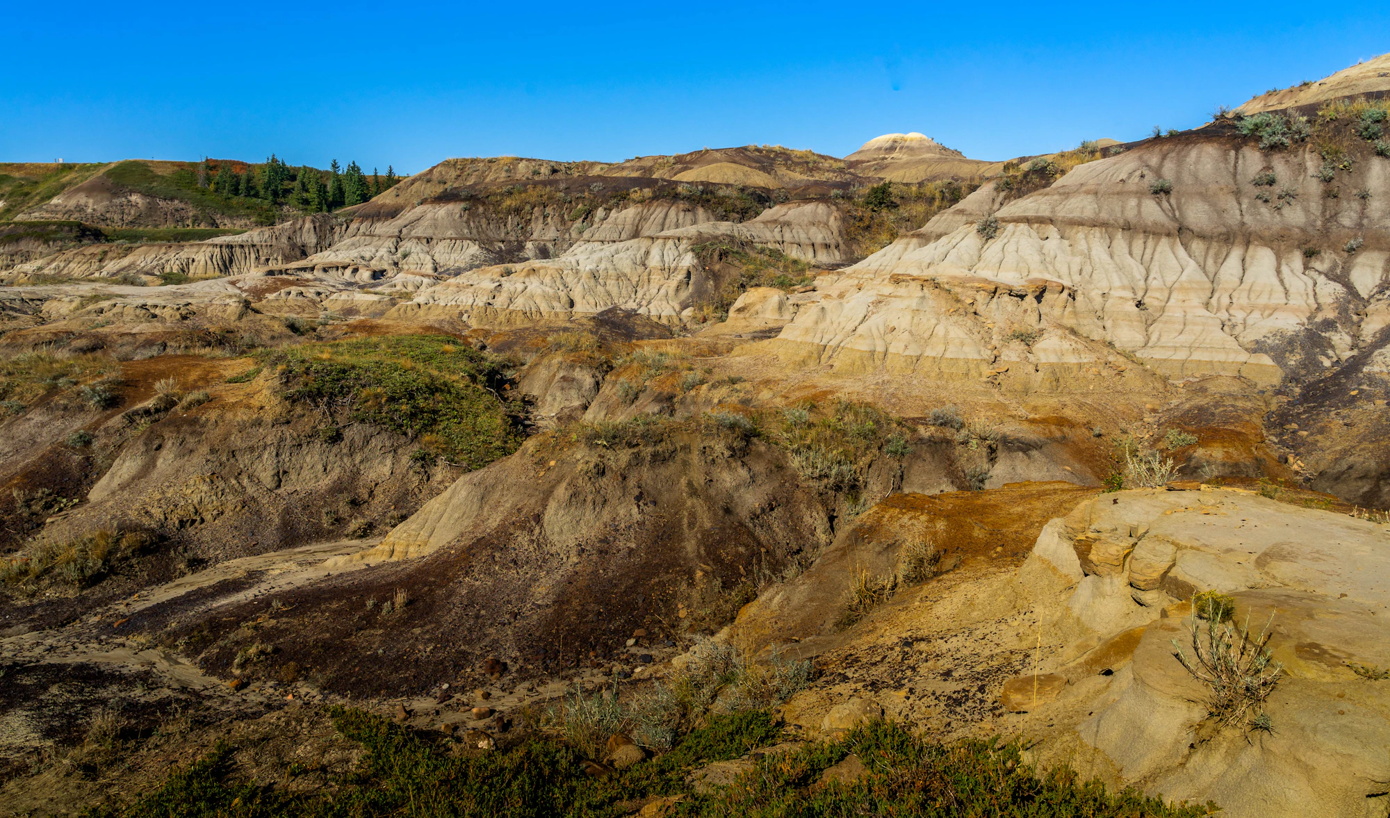 Layered badlands hills in the Red Deer River valley near Drumheller