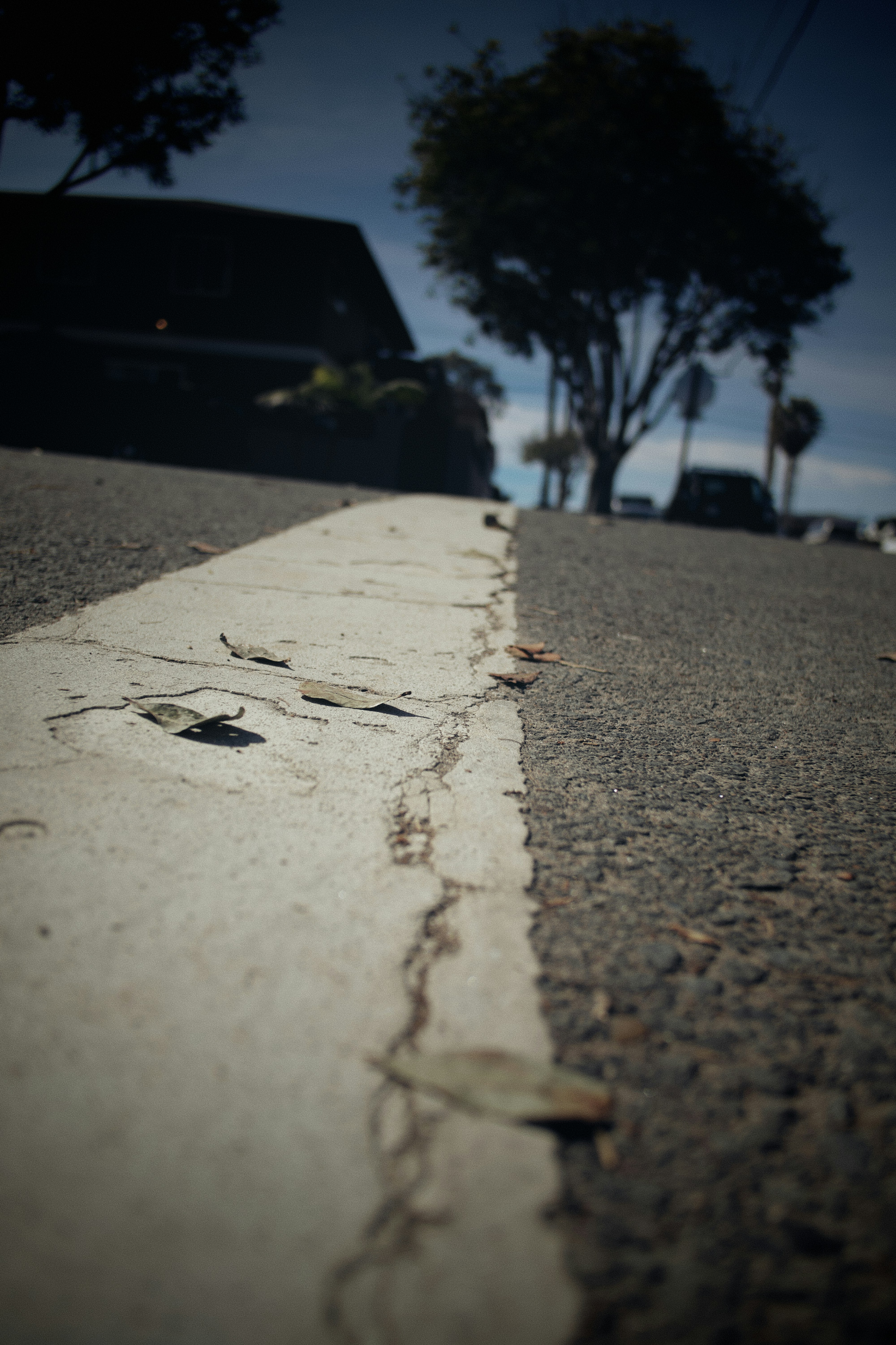 white concrete floor with dried leaves