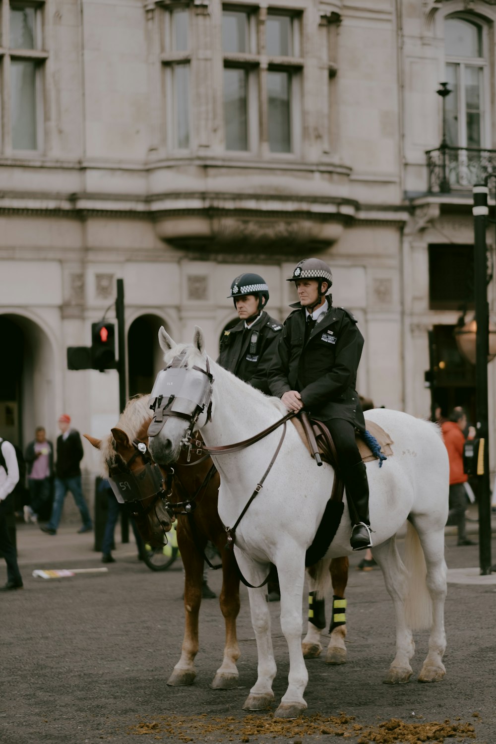 man in black leather jacket riding white horse during daytime