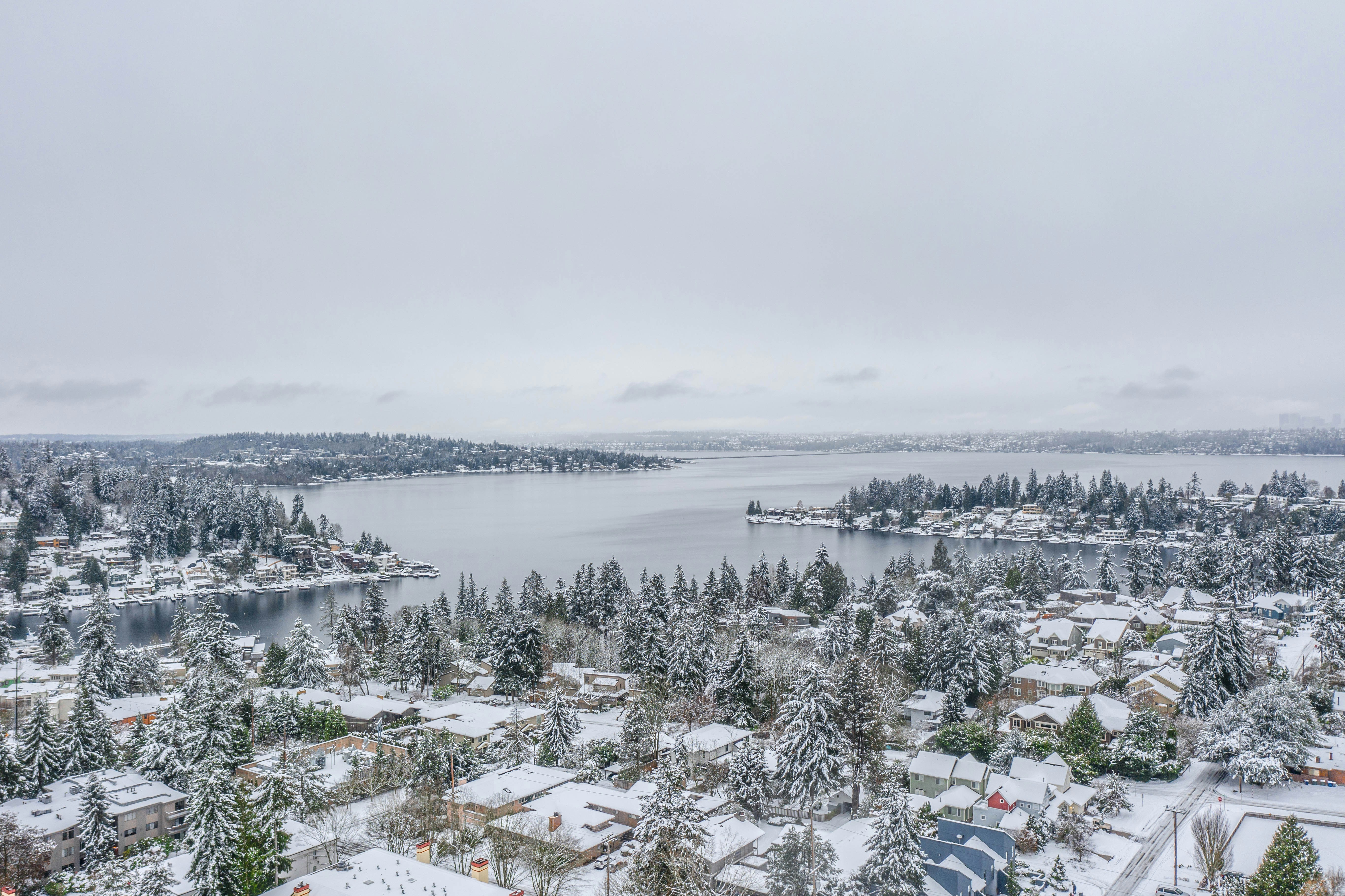 green trees on snow covered ground during daytime