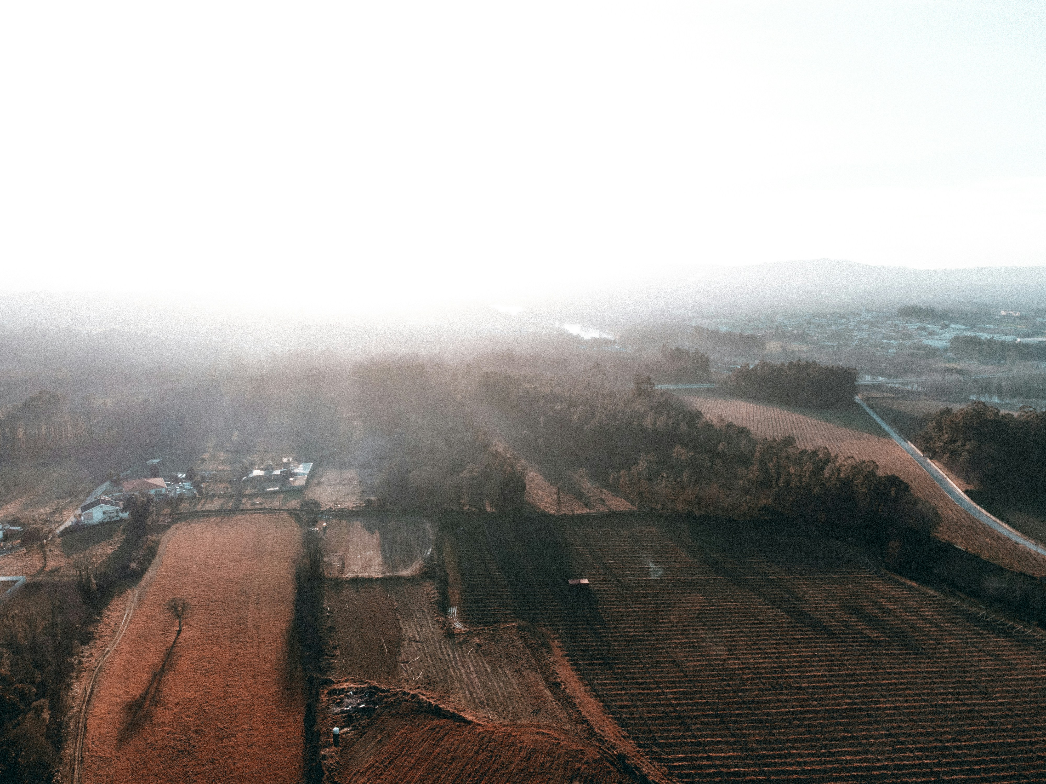 Photo by lawlesscapture