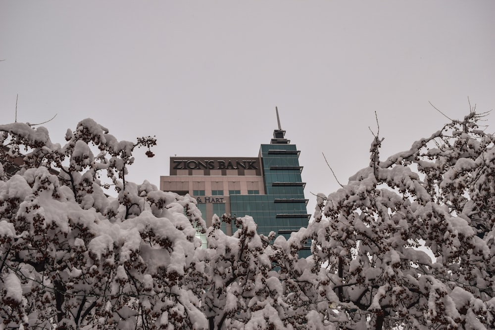 brown concrete building covered with white snow during daytime