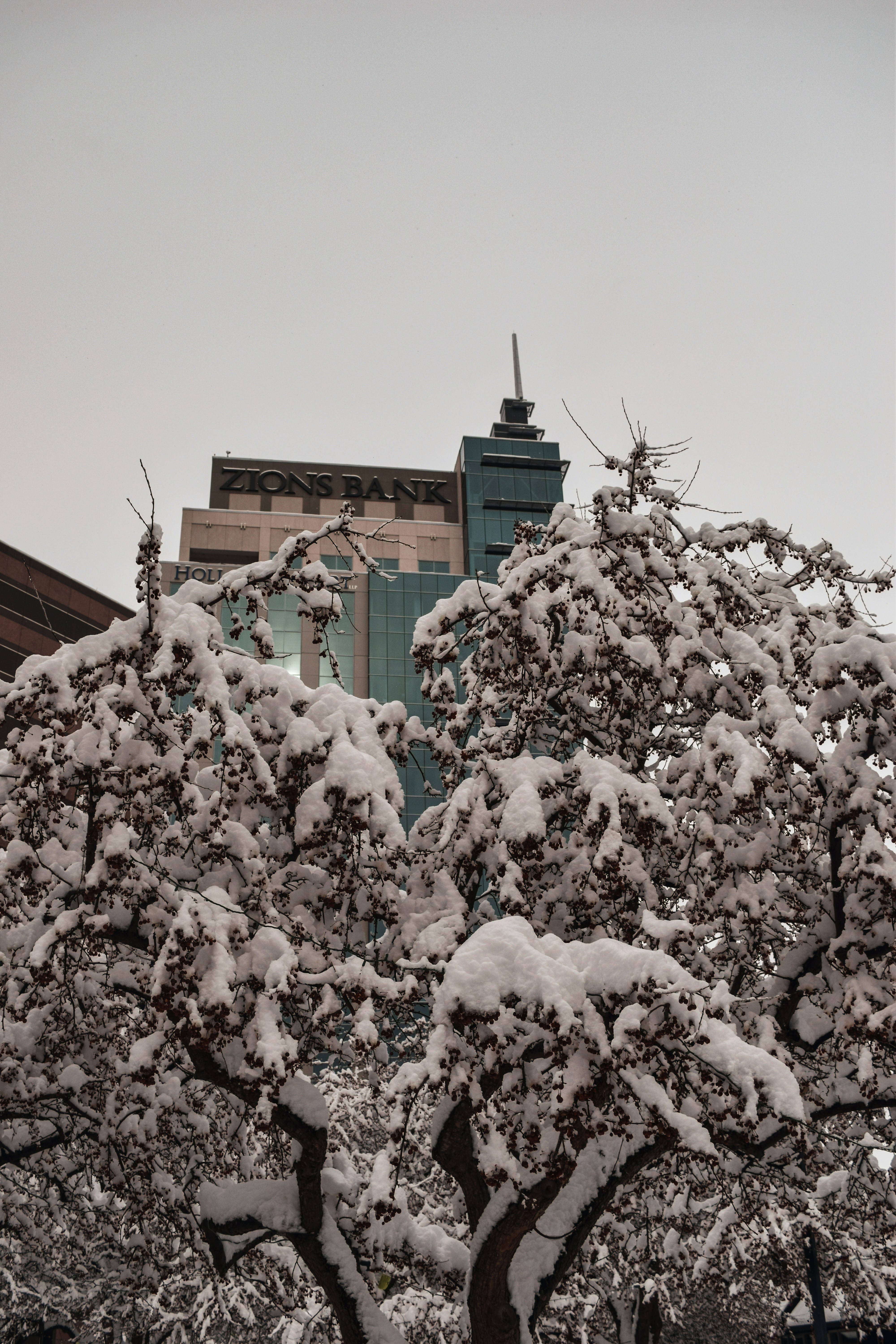 brown concrete building covered with white snow