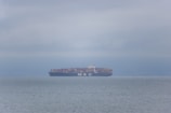 Modern cargo ship loaded with containers sailing across a calm blue sea.
