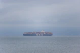 Cargo ship loaded with containers sailing across a calm sea under a clear sky.