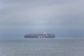 Cargo ship loaded with containers sailing across a calm sea under a clear sky.