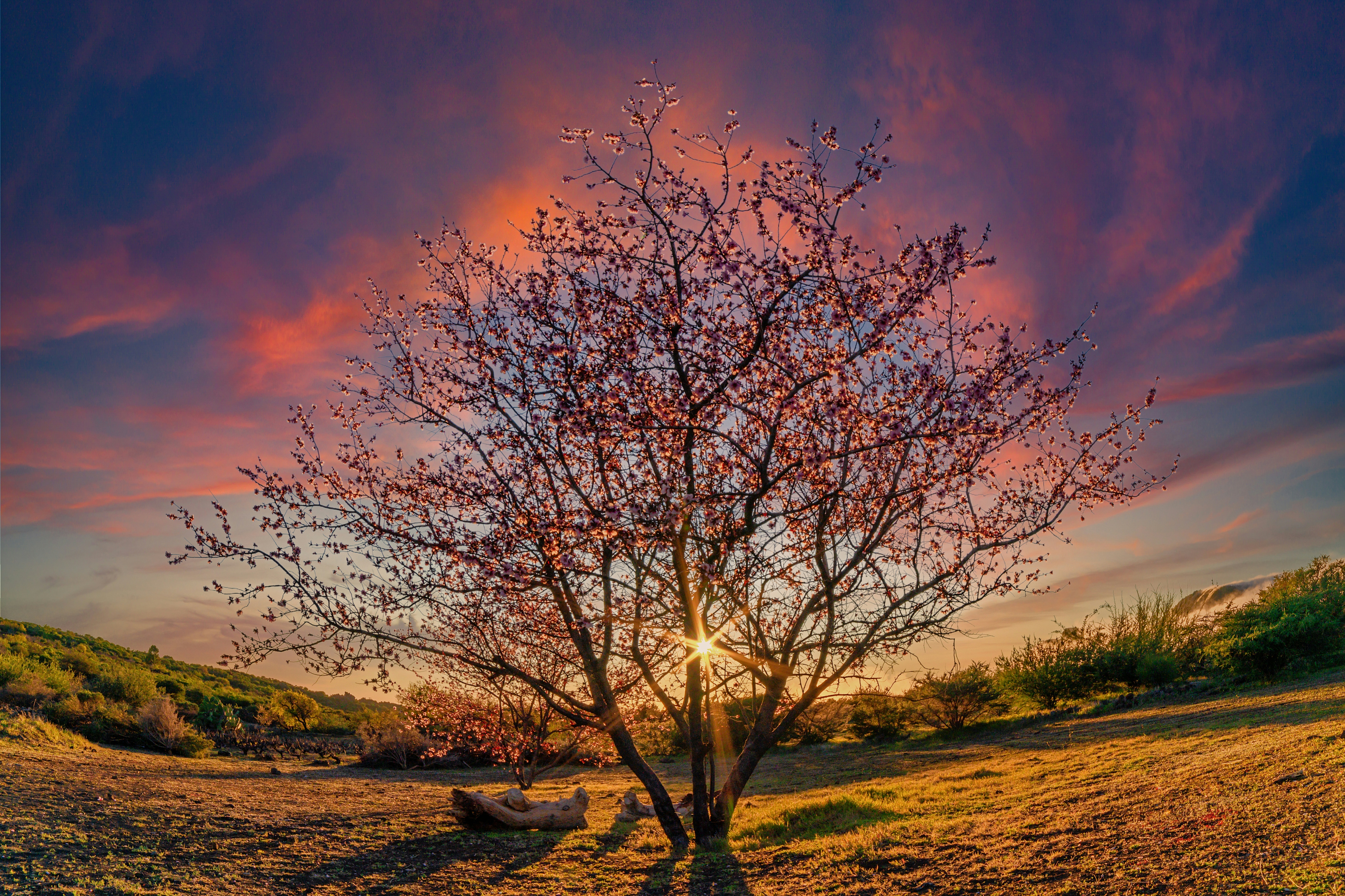 Photo by faustogarmen