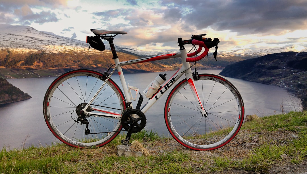 red and white mountain bike on green grass field during daytime