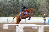 A person on horseback demonstrates skillful jumping over obstacles in an outdoor equestrian setting. The rider wears a helmet and is focused on the task. The horse is adorned with purple accessories. In the background, trees and a person observing the event can be seen.