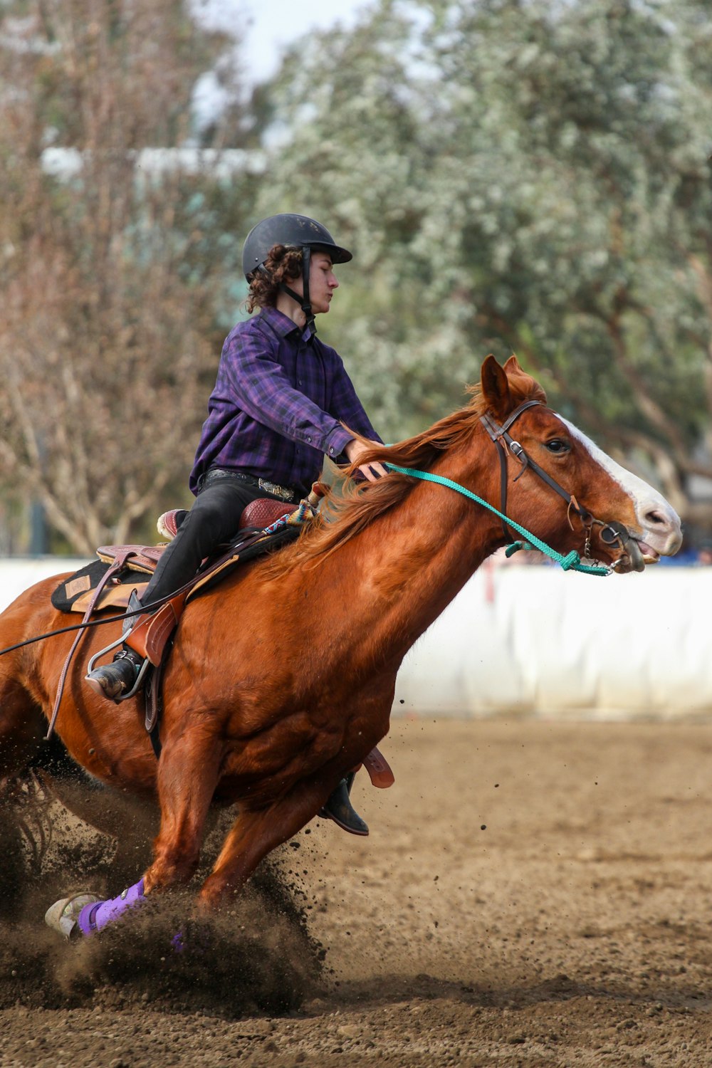 man in black jacket riding brown horse during daytime