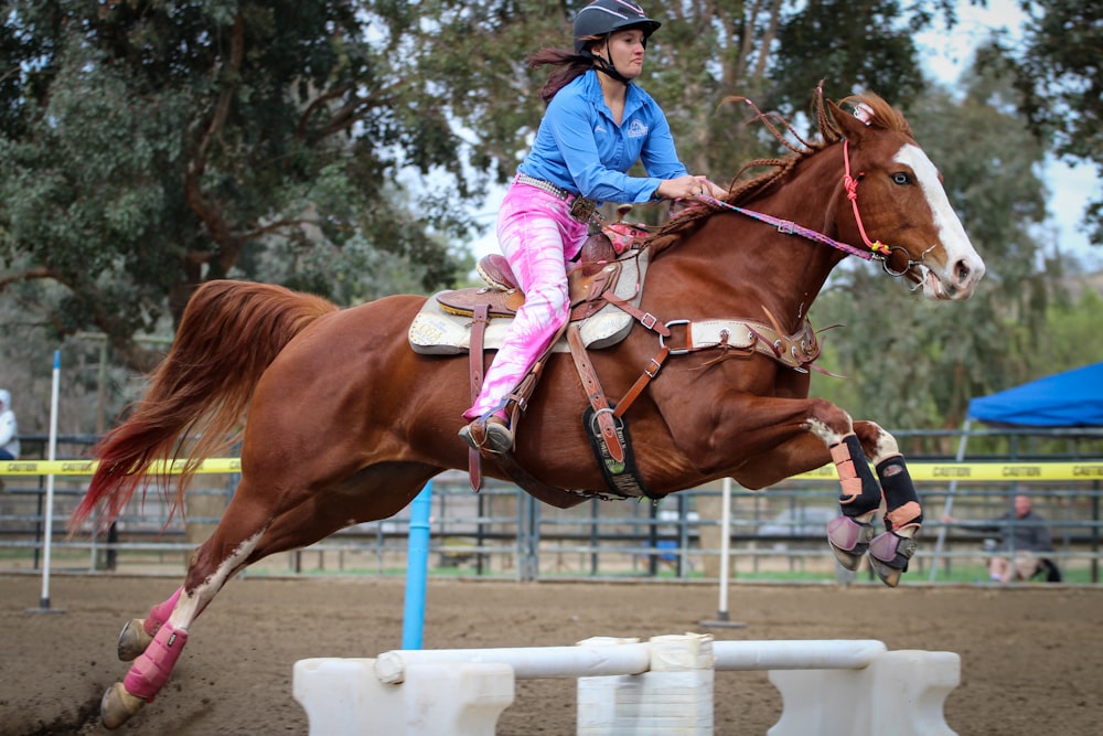 woman in blue long sleeve shirt riding brown horse during daytime