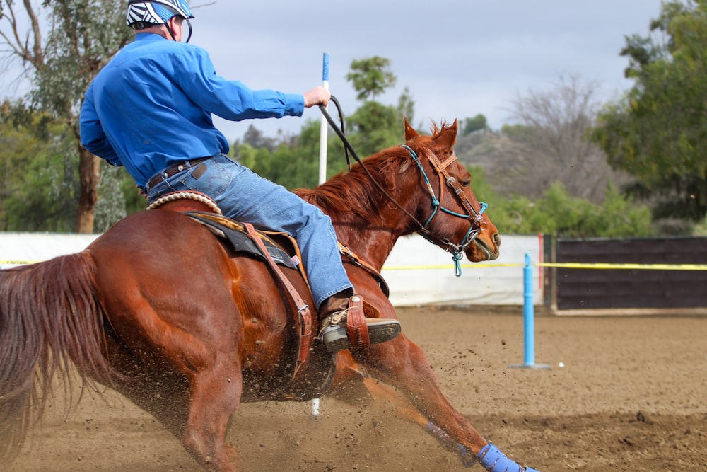 man in blue jacket riding brown horse during daytime