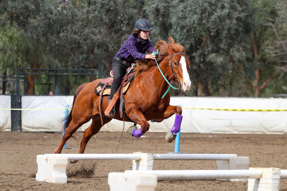 person in black jacket riding brown horse during daytime