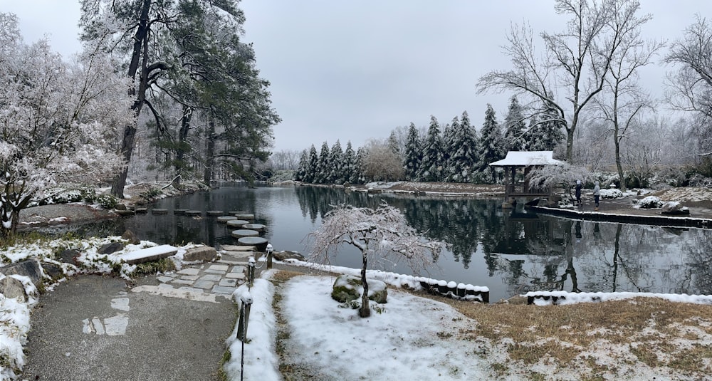 Maison blanche et brune près du lac entourée d’arbres pendant la journée