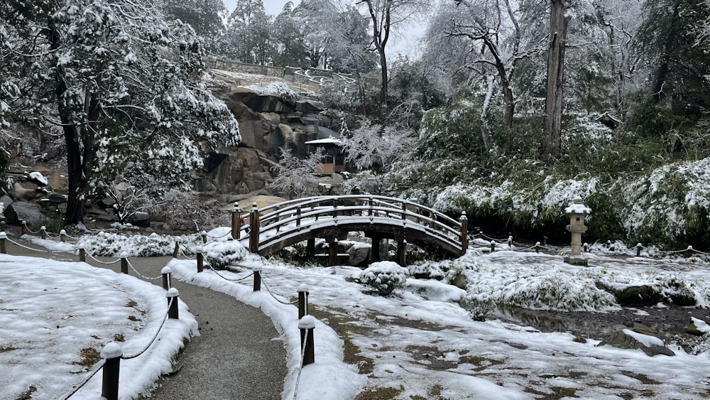 Pont en bois brun au-dessus de la rivière