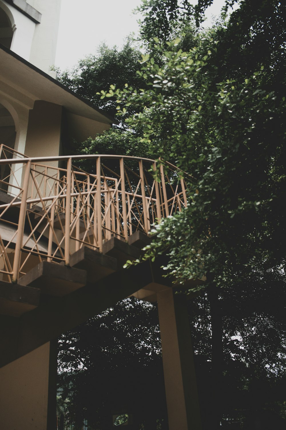 brown wooden bridge near green trees during daytime