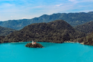 green trees on island surrounded by water during daytime