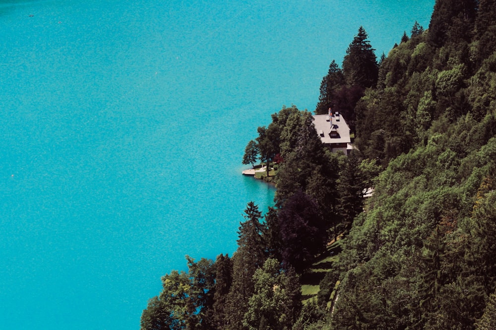 white and black house on top of green trees near blue sea during daytime