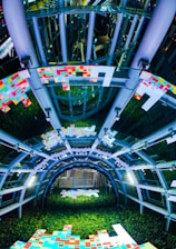 green plants on white concrete building