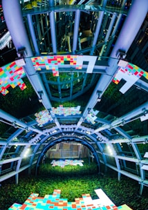green plants on white concrete building