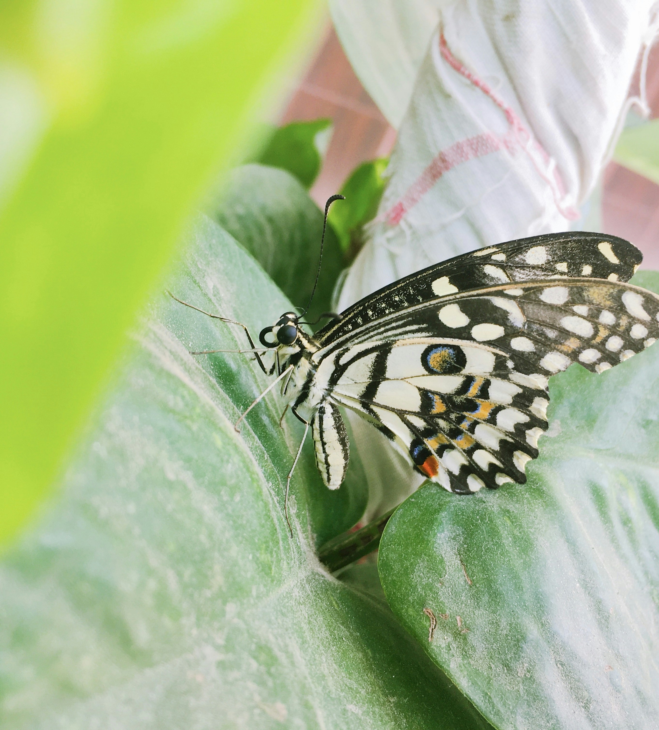 Photo by ashni_ahlawat