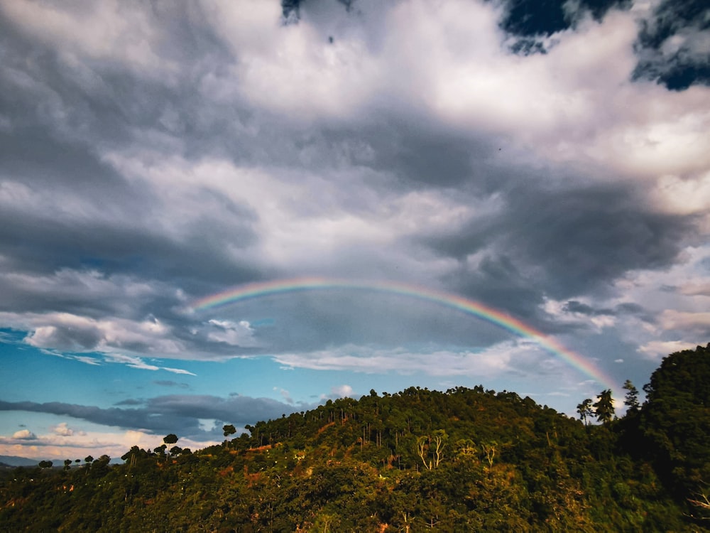 rainbow over green grass field under cloudy sky during daytime